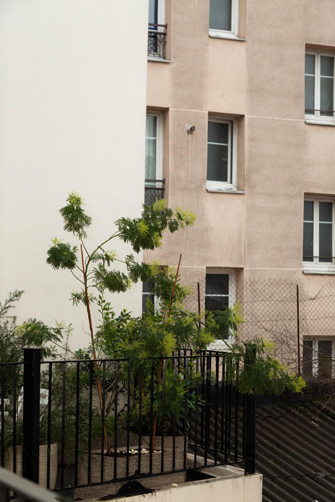 Appartement Elegant Stade De France 12 Pour 4 Personnes Saint-Denis (Seine-Saint-Denis)